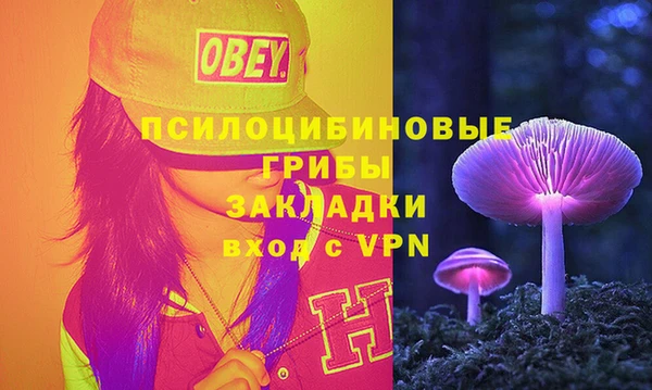 spice Осинники
