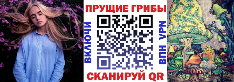Псилоцибиновые грибы Psilocybine cubensis Протвино